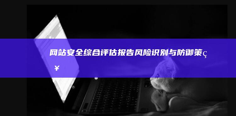 网站安全综合评估报告：风险识别与防御策略